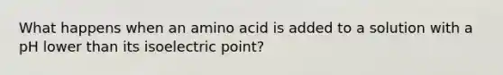 What happens when an amino acid is added to a solution with a pH lower than its isoelectric point?