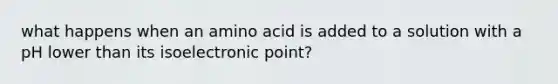 what happens when an amino acid is added to a solution with a pH lower than its isoelectronic point?