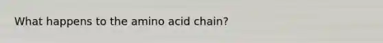 What happens to the amino acid chain?