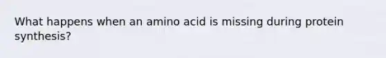 What happens when an amino acid is missing during protein synthesis?