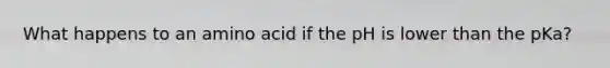 What happens to an amino acid if the pH is lower than the pKa?