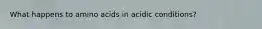 What happens to amino acids in acidic conditions?