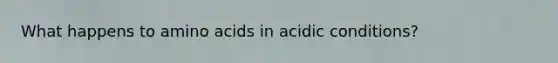 What happens to amino acids in acidic conditions?