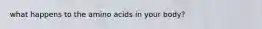 what happens to the amino acids in your body?