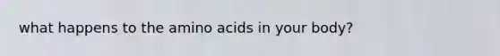 what happens to the amino acids in your body?