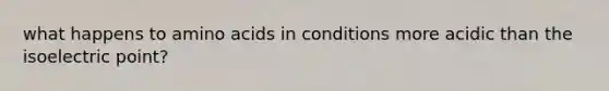 what happens to <a href='https://www.questionai.com/knowledge/k9gb720LCl-amino-acids' class='anchor-knowledge'>amino acids</a> in conditions more acidic than the isoelectric point?