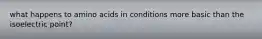 what happens to amino acids in conditions more basic than the isoelectric point?