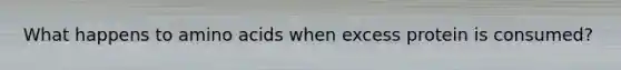 What happens to amino acids when excess protein is consumed?