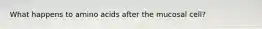 What happens to amino acids after the mucosal cell?