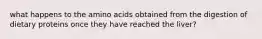 what happens to the amino acids obtained from the digestion of dietary proteins once they have reached the liver?