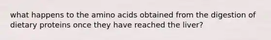 what happens to the amino acids obtained from the digestion of dietary proteins once they have reached the liver?