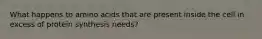What happens to amino acids that are present inside the cell in excess of protein synthesis needs?