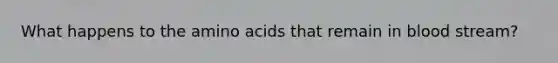 What happens to the amino acids that remain in blood stream?