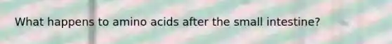 What happens to amino acids after the small intestine?