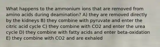 What happens to the ammonium ions that are removed from amino acids during deamination? A) they are removed directly by the kidneys B) they combine with pyruvate and enter the citric acid cycle C) they combine with CO2 and enter the urea cycle D) they combine with fatty acids and enter beta-oxidation E) they combine with CO2 and are exhaled