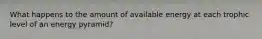 What happens to the amount of available energy at each trophic level of an energy pyramid?