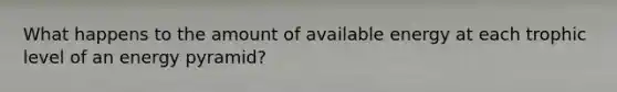 What happens to the amount of available energy at each trophic level of an energy pyramid?