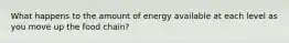 What happens to the amount of energy available at each level as you move up the food chain?