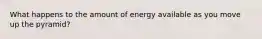 What happens to the amount of energy available as you move up the pyramid?