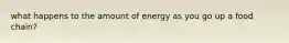 what happens to the amount of energy as you go up a food chain?