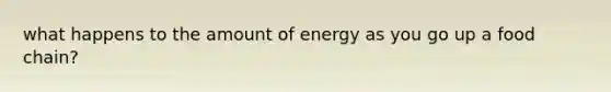 what happens to the amount of energy as you go up a food chain?