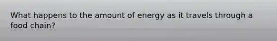 What happens to the amount of energy as it travels through a food chain?