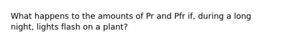 What happens to the amounts of Pr and Pfr if, during a long night, lights flash on a plant?