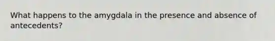 What happens to the amygdala in the presence and absence of antecedents?