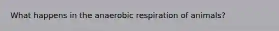 What happens in the anaerobic respiration of animals?