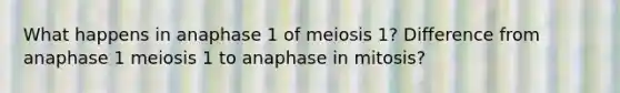 What happens in anaphase 1 of meiosis 1? Difference from anaphase 1 meiosis 1 to anaphase in mitosis?