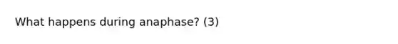 What happens during anaphase? (3)