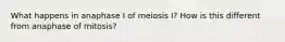 What happens in anaphase I of meiosis I? How is this different from anaphase of mitosis?