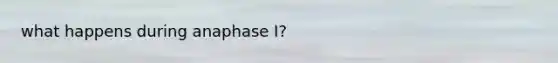 what happens during anaphase I?