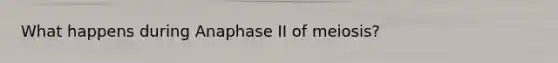 What happens during Anaphase II of meiosis?