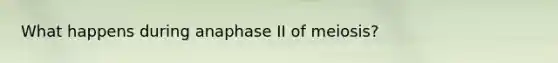 What happens during anaphase II of meiosis?