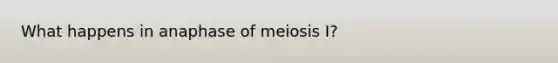 What happens in anaphase of meiosis I?