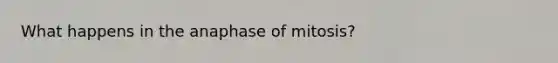 What happens in the anaphase of mitosis?