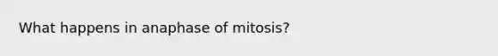 What happens in anaphase of mitosis?