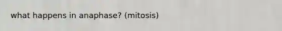 what happens in anaphase? (mitosis)