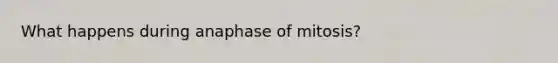 What happens during anaphase of mitosis?