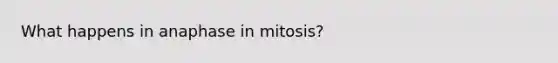 What happens in anaphase in mitosis?