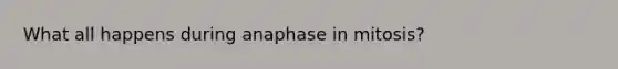 What all happens during anaphase in mitosis?