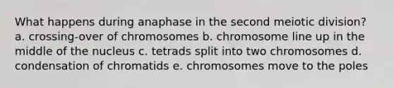 What happens during anaphase in the second meiotic division? a. crossing-over of chromosomes b. chromosome line up in the middle of the nucleus c. tetrads split into two chromosomes d. condensation of chromatids e. chromosomes move to the poles