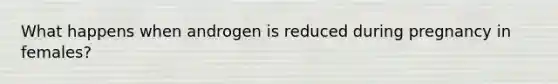 What happens when androgen is reduced during pregnancy in females?