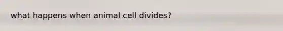 what happens when animal cell divides?