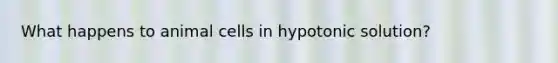 What happens to animal cells in hypotonic solution?