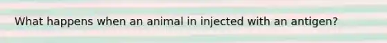 What happens when an animal in injected with an antigen?