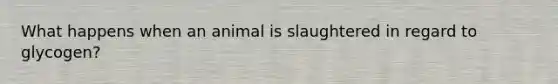 What happens when an animal is slaughtered in regard to glycogen?