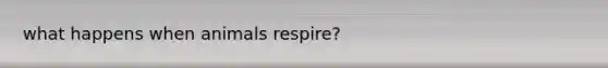 what happens when animals respire?