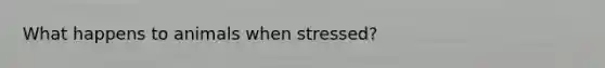 What happens to animals when stressed?